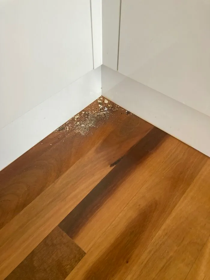 Kitchen Floor Swept. Yep, That’s A Completely Finished Job