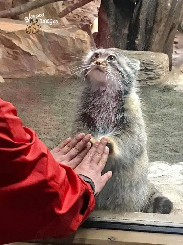 113 Wholesome Photos That May Make You Forget About The Toxicity Of Social Media (New Pics)