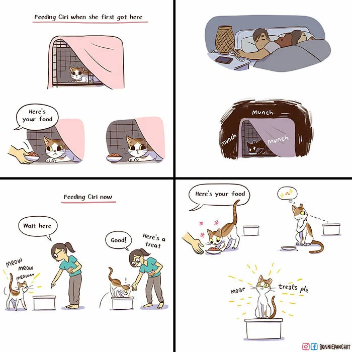 50 Clever Comics By Bonnie Pang That Perfectly Capture Modern Relationships