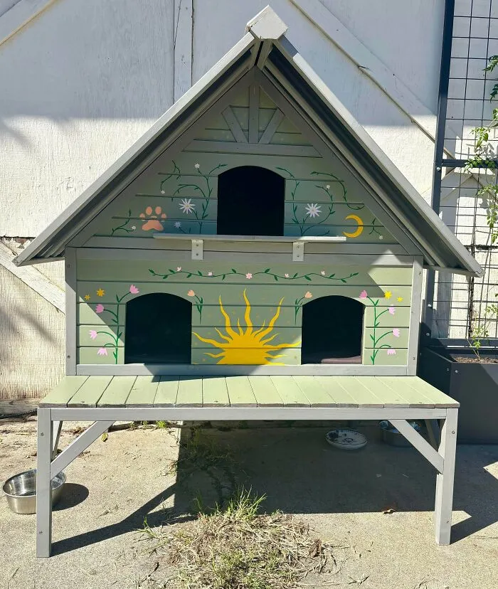 Pinté esta casita para gatos para los gatos callejeros de mi barrio