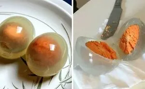 49 Photos That Show Just How Strange And Spectacular Everyday Life Can Be (New Pics)
