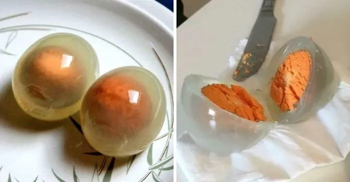 Penguin Egg Whites Turn Clear When Boiled