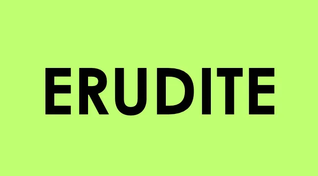 Erudite word displayed in bold black letters on a bright green background representing smart people words.