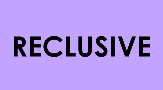 Bold black text of the word reclusive on a light purple background, illustrating smart people words concept.