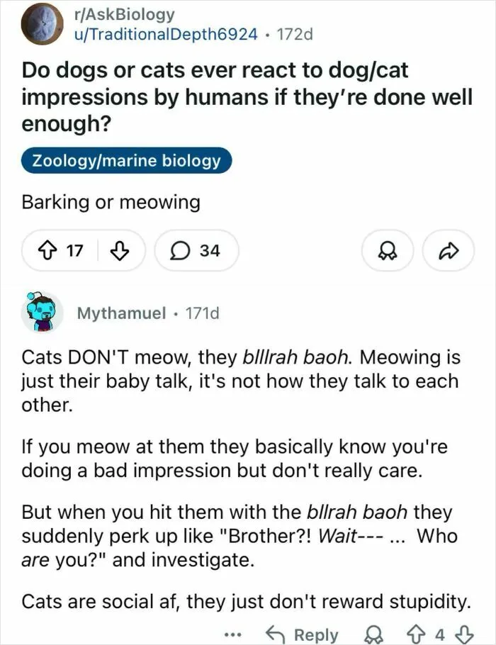 They Blllrah Baoh
