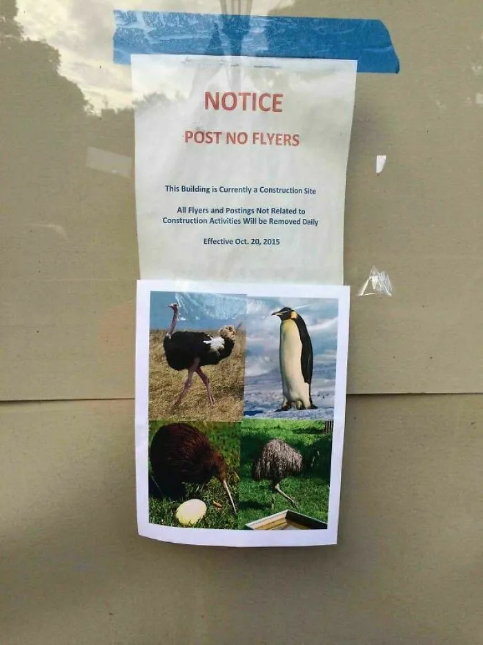 Post No Flyers