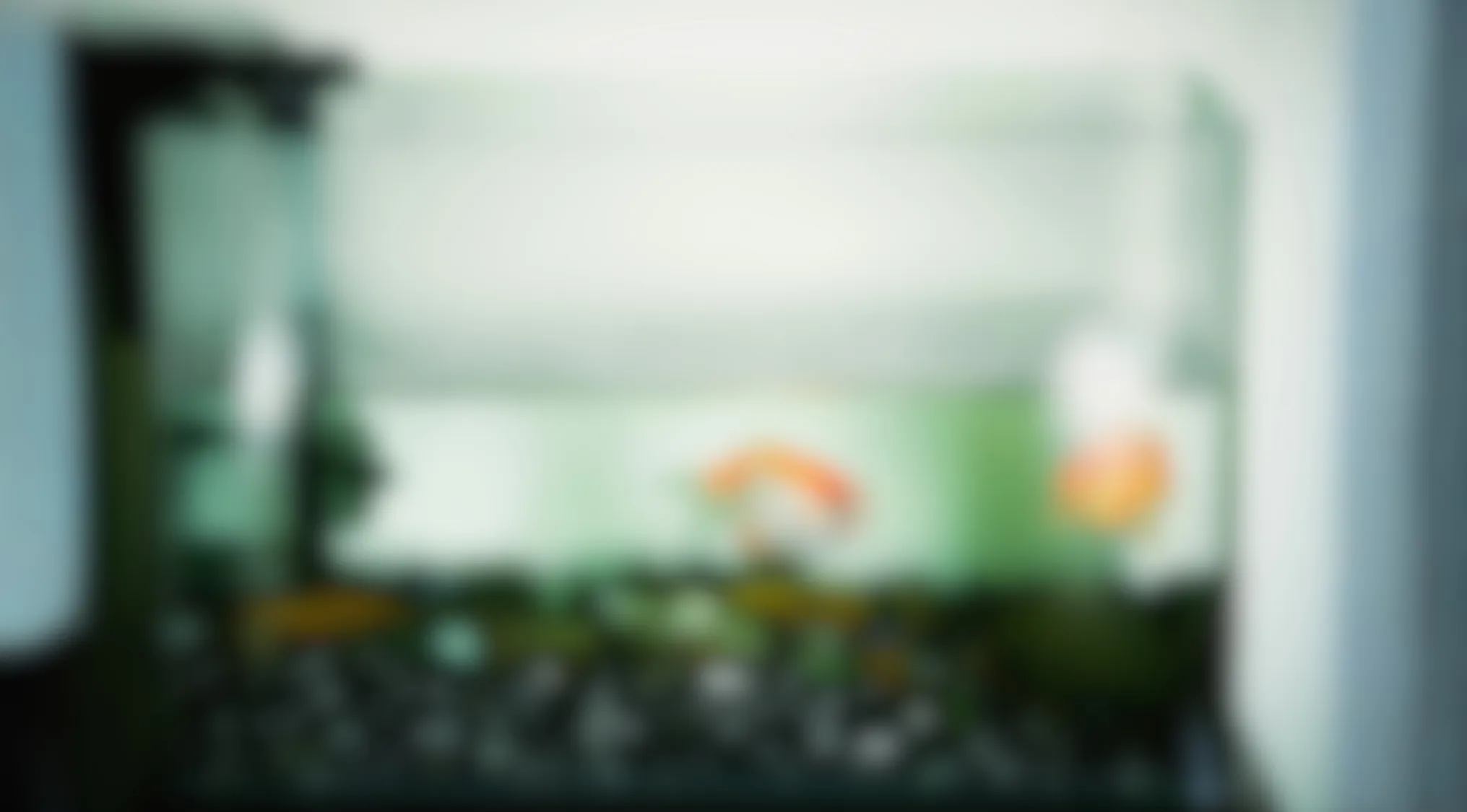 Blurry image showing an unclear aquarium with indistinct shapes of fish and decor in soft green and orange tones.