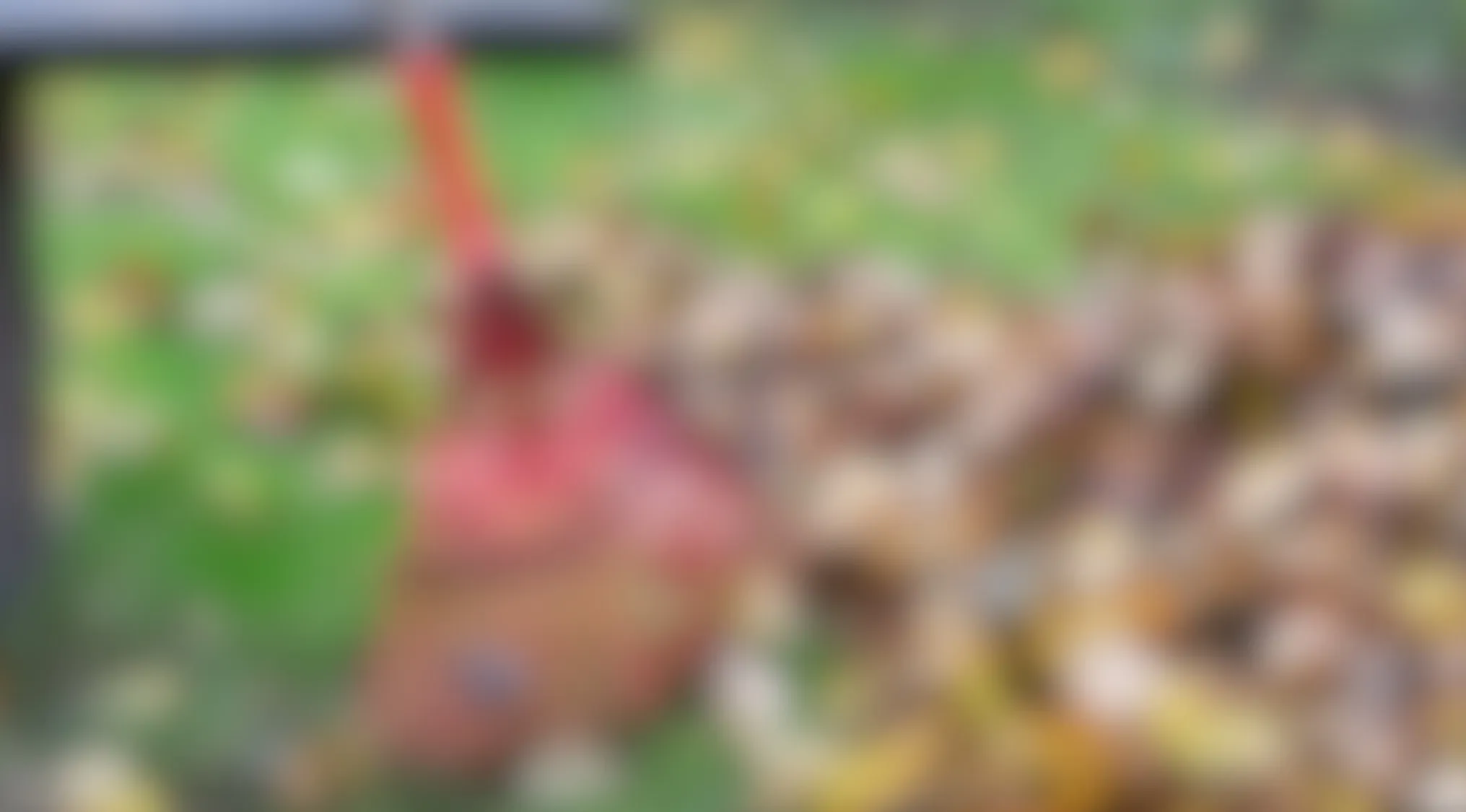 Blurry image showing a gardening tool among fallen leaves on a green grassy surface outdoors.