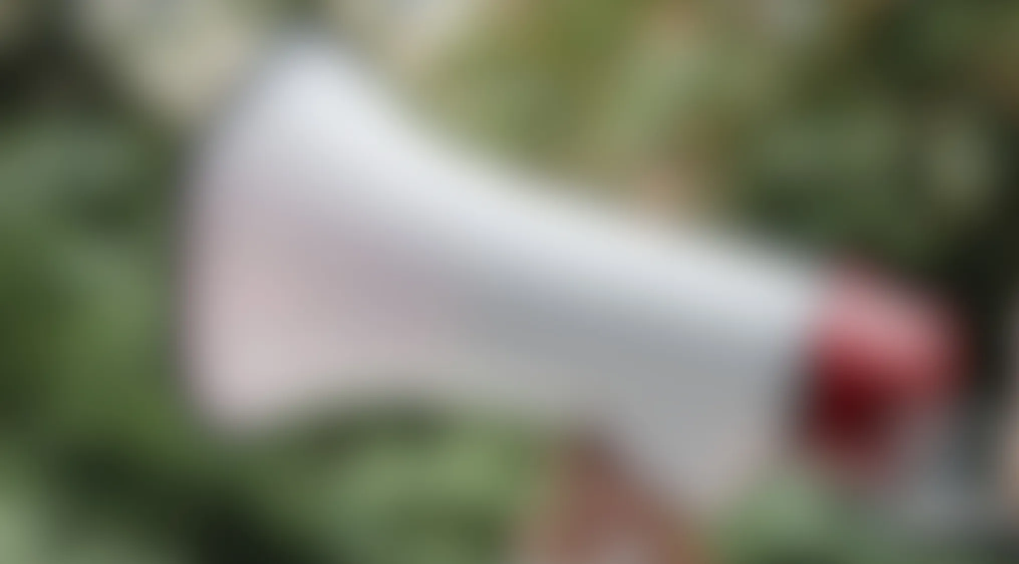 Blurry image of an unknown object with green background, challenging viewers to identify the object in the blurry picture.