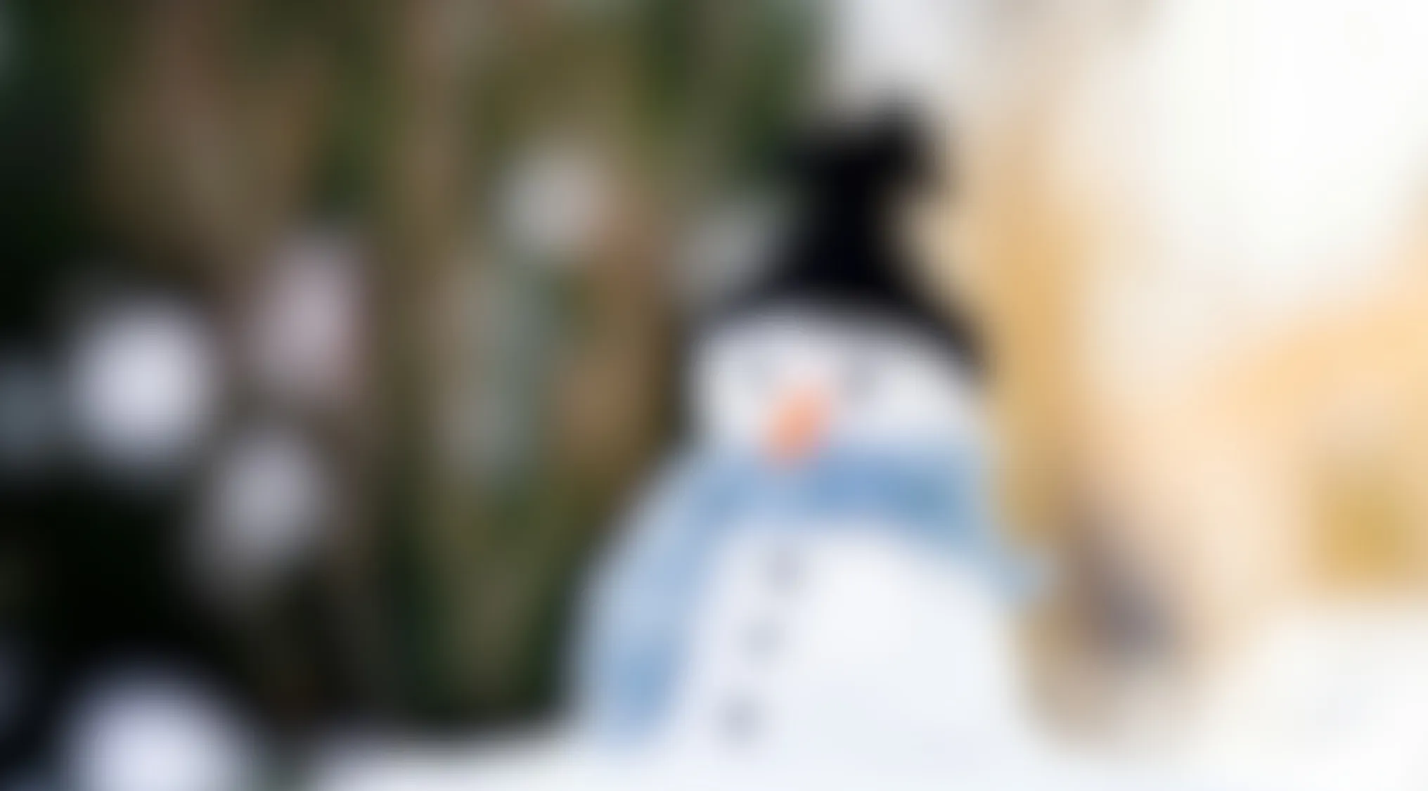Blurry image of a snowman figure with a black hat and blue scarf, difficult to make out the main subject clearly.