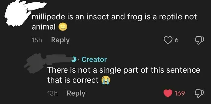 Millipedes Are Not Insects, Frogs Are Not Reptiles, Arthropods, Reptiles, Amphibians Are All Animals