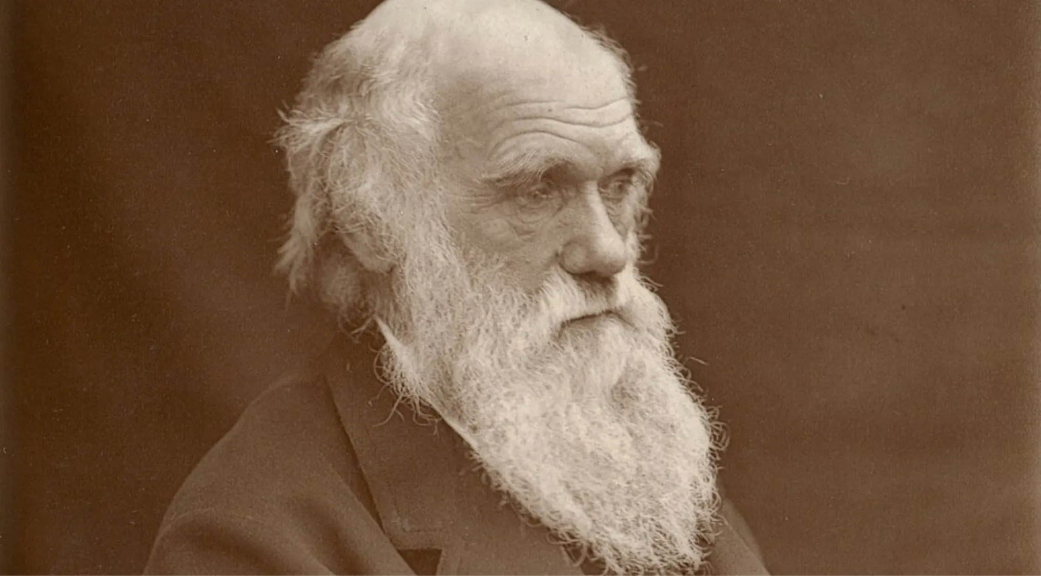 Portrait of the scientist who developed the theory of evolution by natural selection with a long white beard and serious expression.