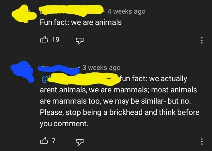 Mammals Aren't Animals?