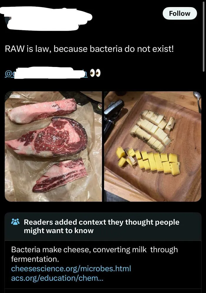 Bacteria Don’t Exist?