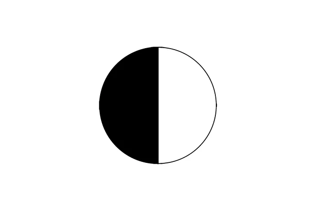 Half black and half white circle illustrating an abstract pattern to observe and choose the mystery piece D.