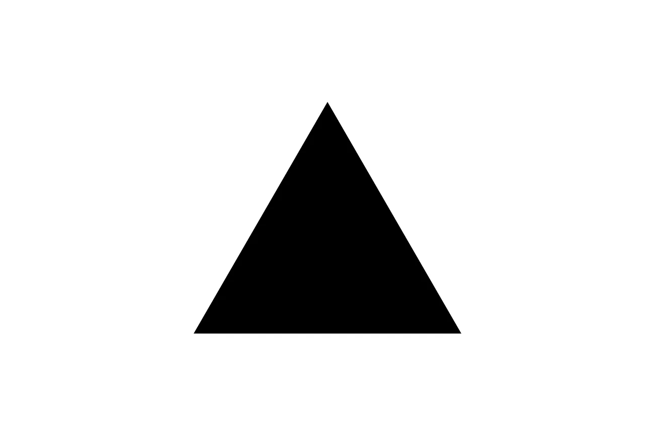 Black triangle centered on a white background representing the concept of what comes next.