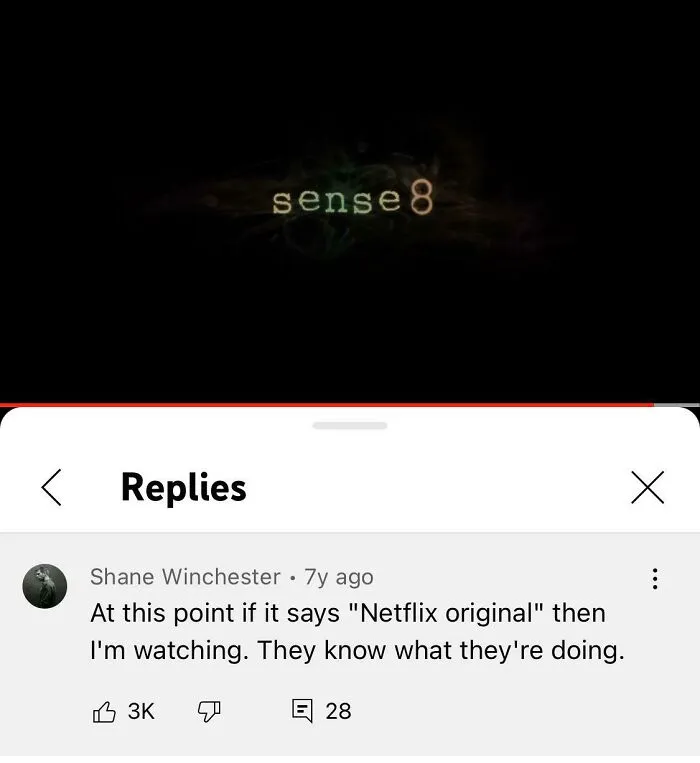 Back When Netflix Didn’t Only Care About Money