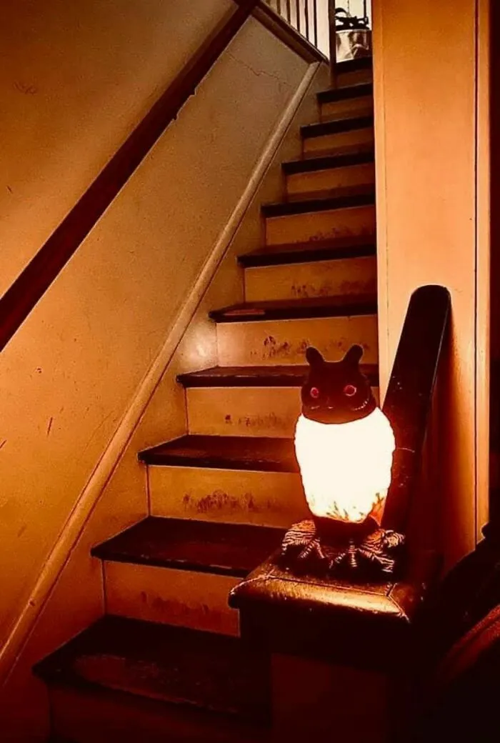 Esto le da un nuevo significado a la luz de noche. Si alguna vez has visto una de estas luces para postes de escalera, deja un comentario.