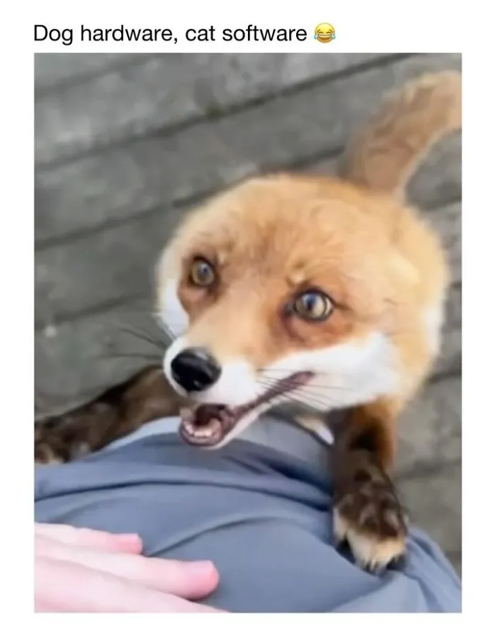 This Account Shares 50 Photos Of Animals Being Accidentally Hilarious