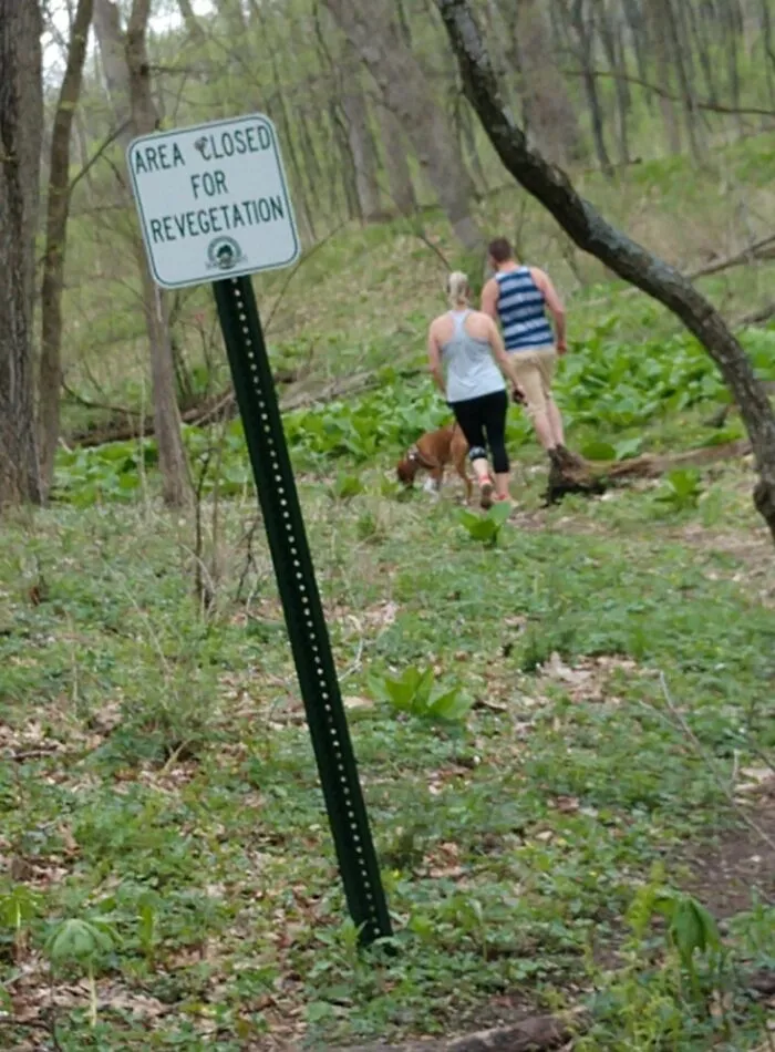 I Don't Think They Can Read