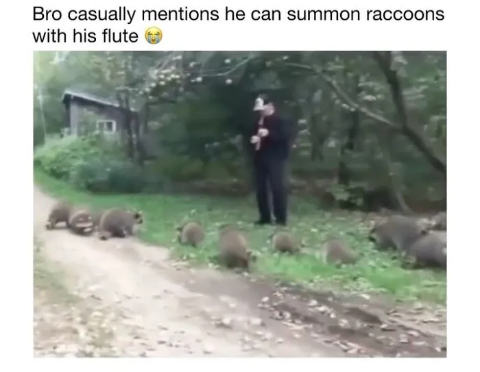This Account Shares 50 Photos Of Animals Being Accidentally Hilarious