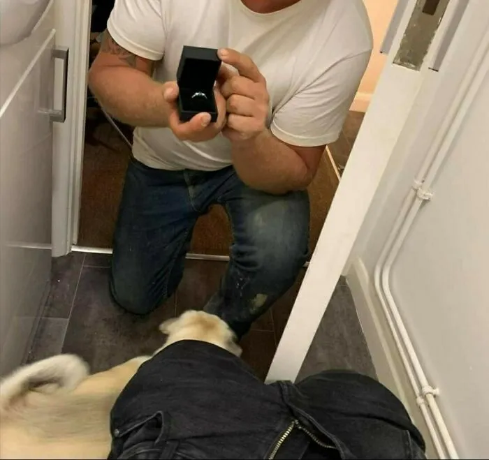 The Toilet Proposal And A Post About All This On Facebook - So Classy