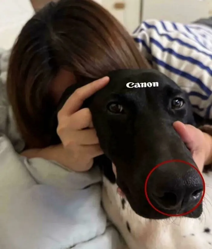 This Is My New Camera