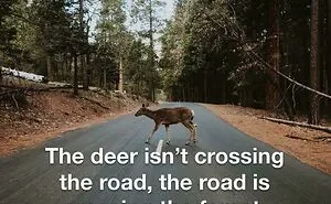 “Delusions Of Adequacy”: 50 Posts That Are Equally Brilliant And Unhinged (New Pics)