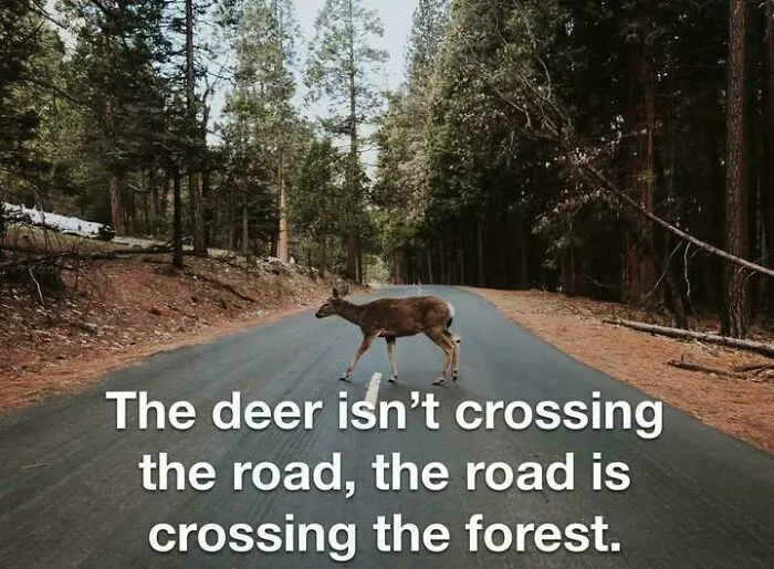 Ask Yourself, Which Was There First?
