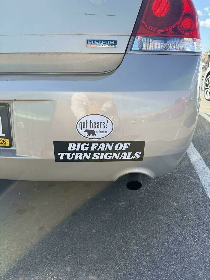 Two funny bumper stickers on a silver car: got bears? and BIG FAN OF TURN SIGNALS, catching drivers attention.