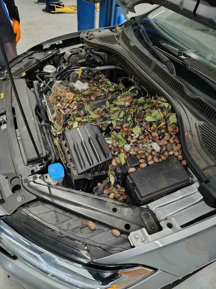 C/S Mil And Trans In Emergency Mode