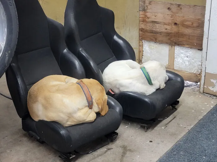 If We're Posting Shop Seats