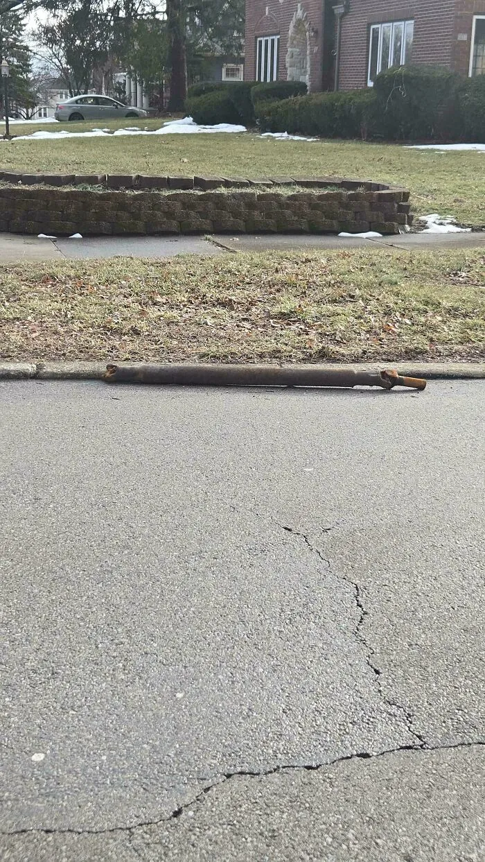 If You're Cold, They Are Too. Bring Your Local Stray Driveshafts Inside
