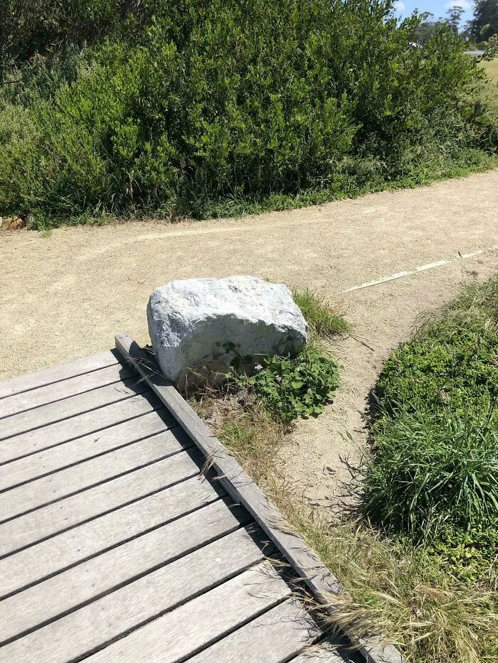 The Most Unnecessary Desire Path