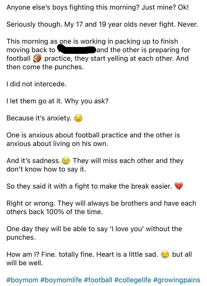 A social media post from a mom describing how her two sons are fighting, an example of an unhinged mom.