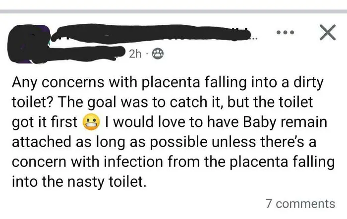 A mom's concerning post about her placenta falling into a dirty toilet, an example of unhinged parenting.