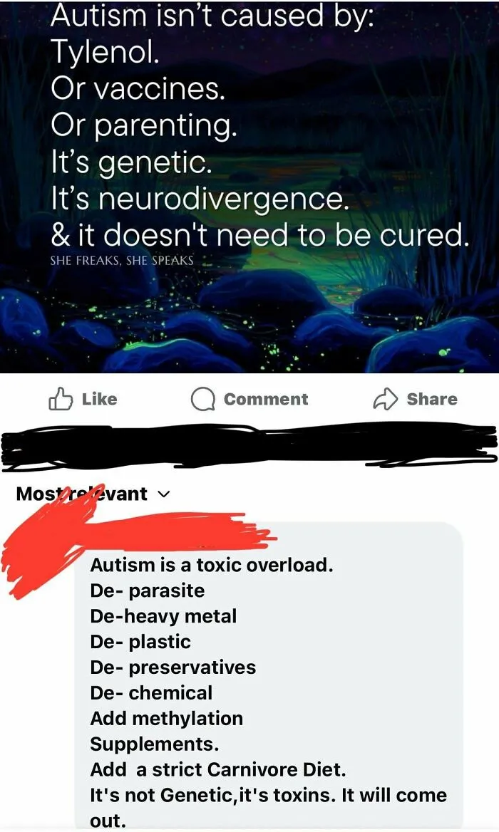 A screenshot from a parenting group showing toxic parenting advice about autism being caused by toxins, not genetics.