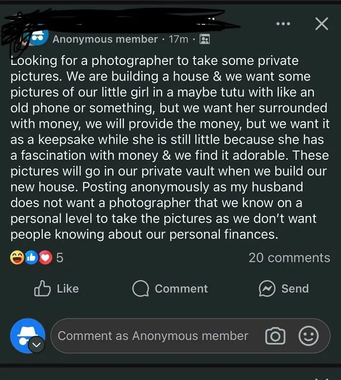 An unhinged mom in a parenting group requesting a photographer for private pictures of her daughter surrounded by money.