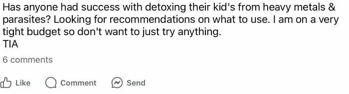 A toxic mom asks a parenting group for advice on detoxing her kid from heavy metals and parasites, revealing unhinged parenting.