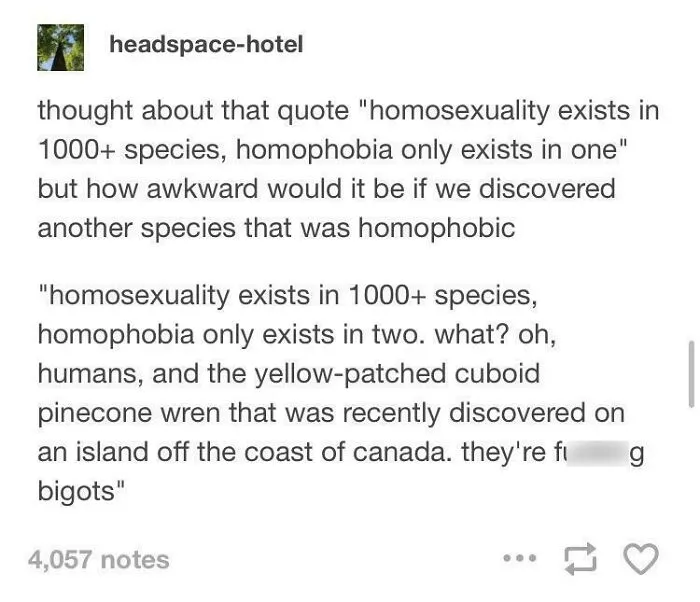Homophobic Wrens