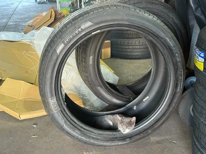 Dude Just Walked In The Shop, Said He’s Tired And Went To Sleep?…