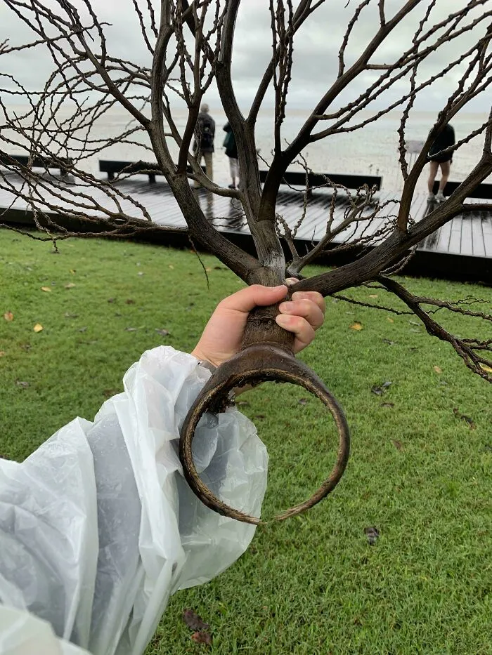 Is It A Hairband Or A Crown?