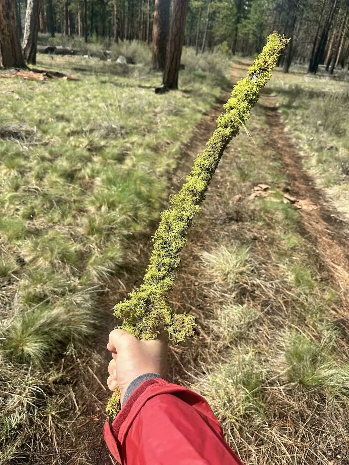 I Also Found A Cool Sword Stick
