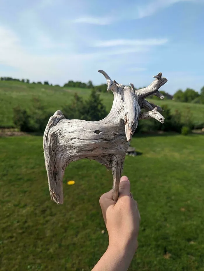 "Hey, Check Out This Cool Stick I Found"