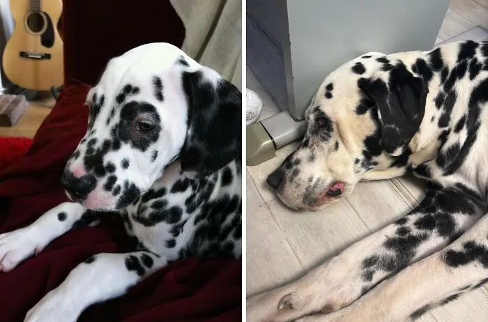 First And Last Picture I Took Of My Sweet Baby, 2013 And 2026