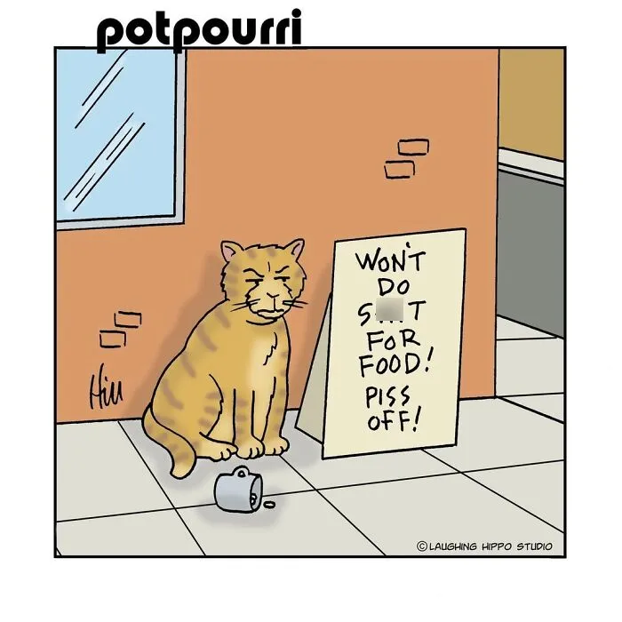 28 One-Panel Comics That Anyone Who Has Ever Been Judged By A Cat Will Instantly Relate To