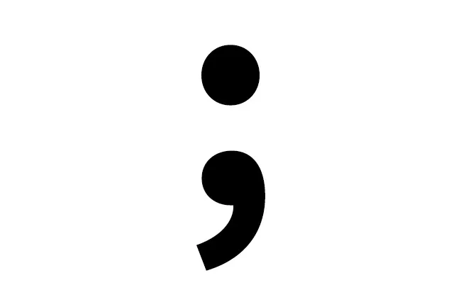 Black semicolon punctuation mark on a white background, representing a favorite punctuation mark choice.