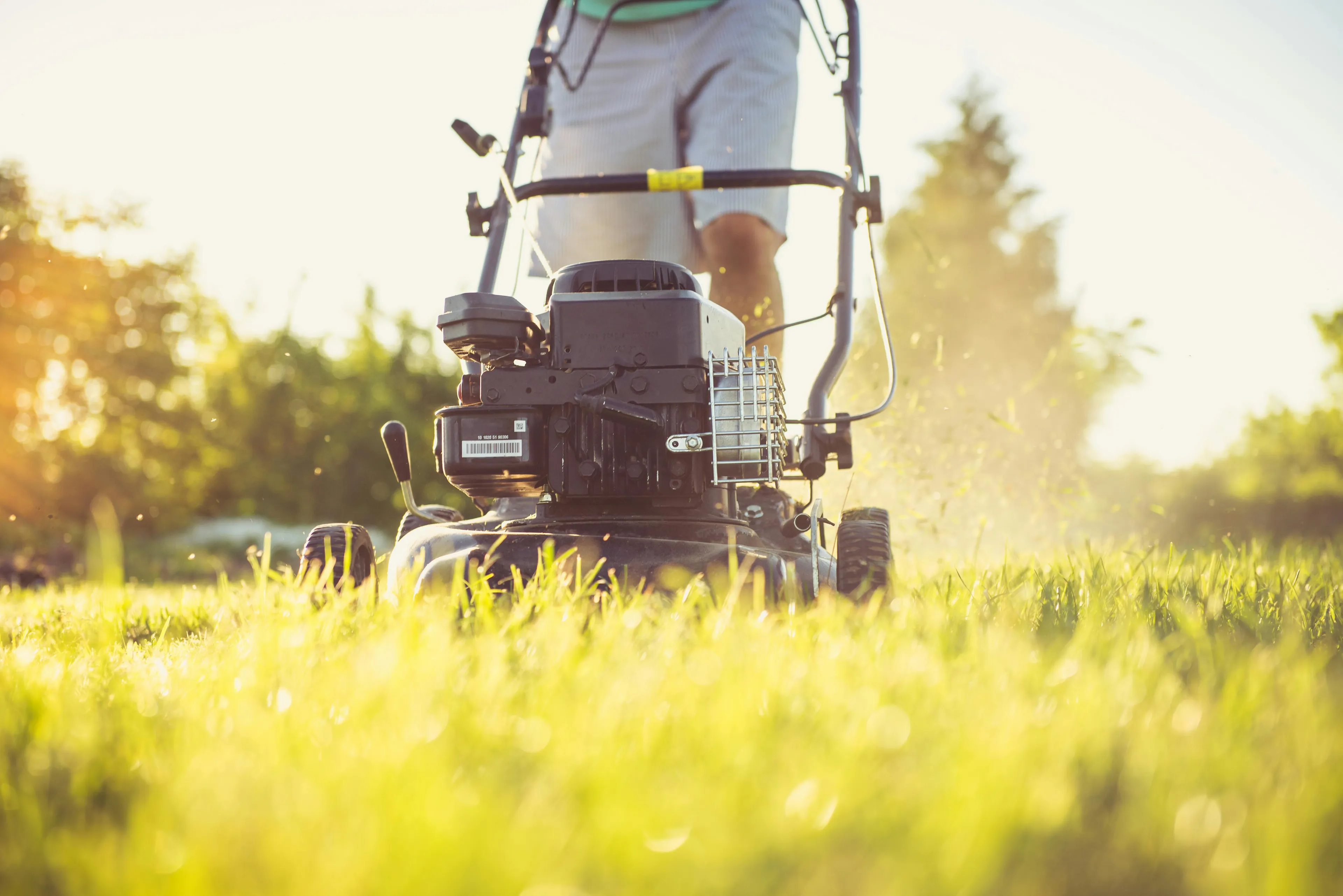 Person mowing lawn early morning, illustrating a boundary style personality quiz scenario about neighbor's behavior.