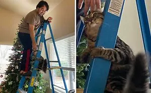 47 Photos That Show The Exact Second Regret Kicked In