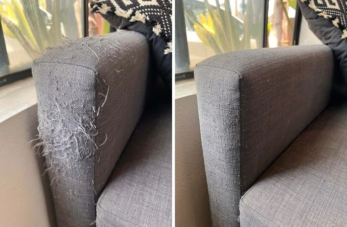 Usé una recortadora de barba para quitar los arañazos de gato de mi sofá.